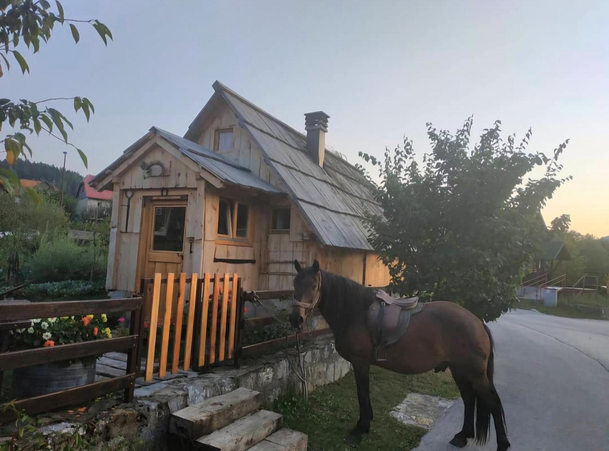 Etno Smjestaj Bjelasica Kolasin Luaran gambar
